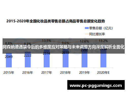 阿森纳遭遇禁令后的多维度应对策略与未来调整方向深度解析全面化